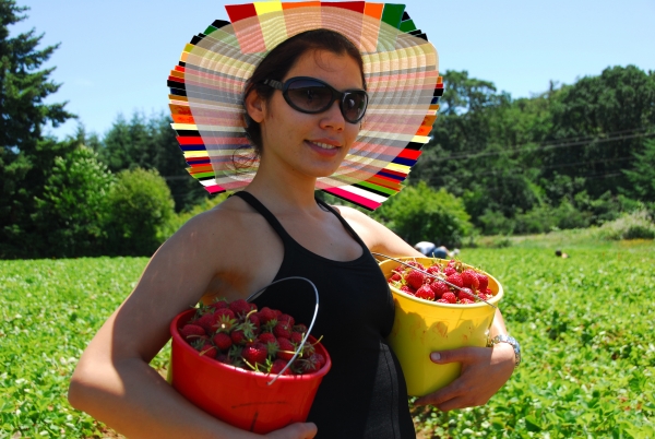 Creation of Strawberry Season : Step 3